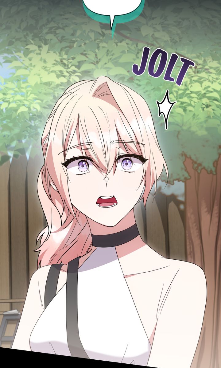 ch 81 60