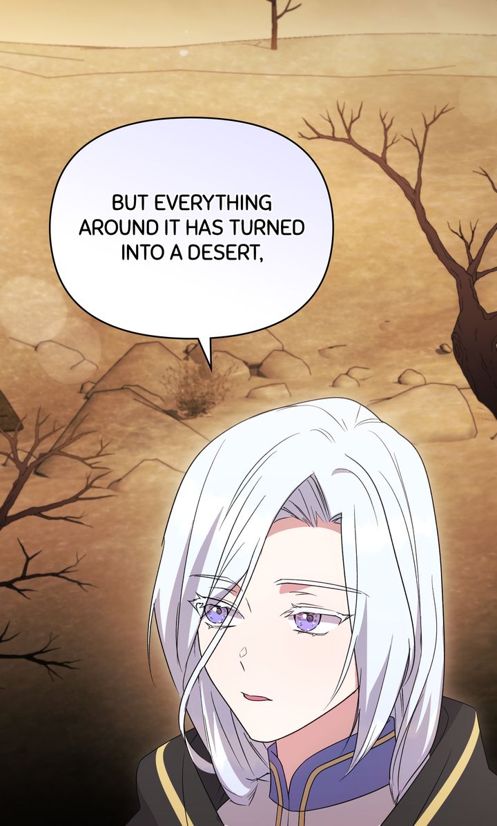ch 81 63