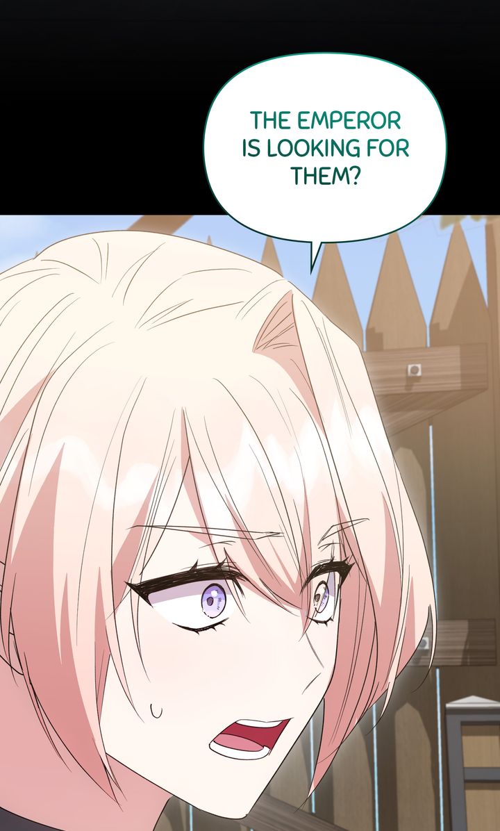 ch 81 68