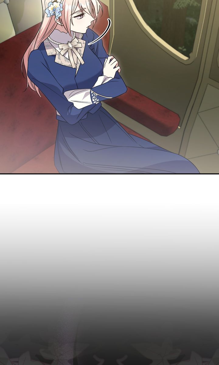 ch 81 78