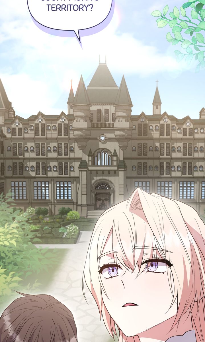 ch 81 95