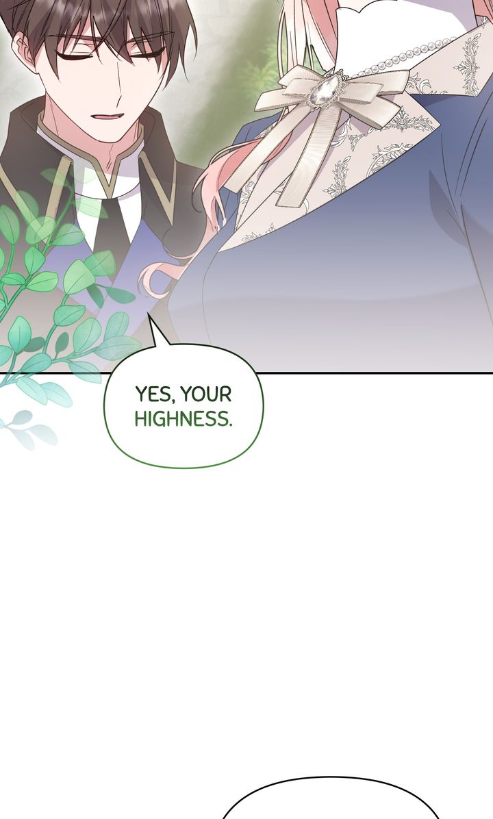 ch 81 96