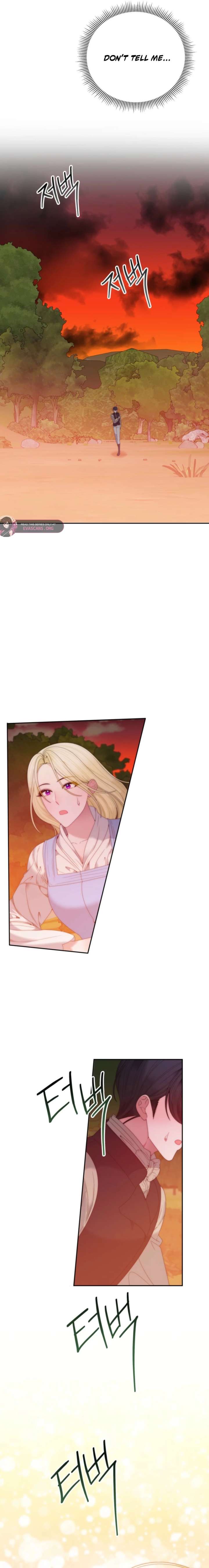 ch 155 12
