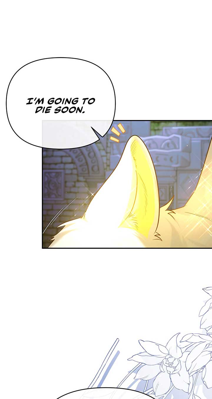 No, I Only Charmed the Princess! Chapter 2 519 098