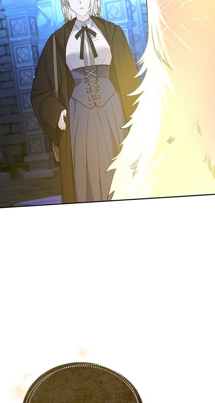 No, I Only Charmed the Princess! Chapter 2 527 106