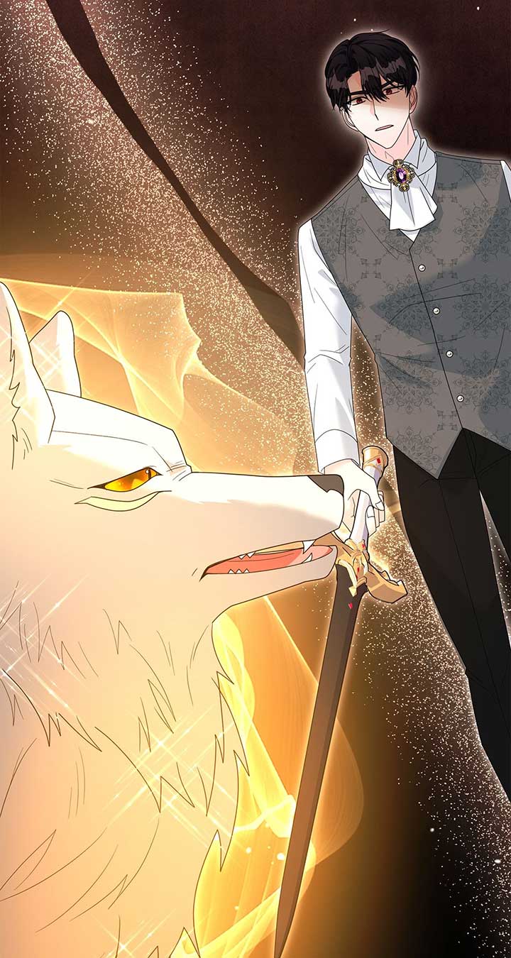 41