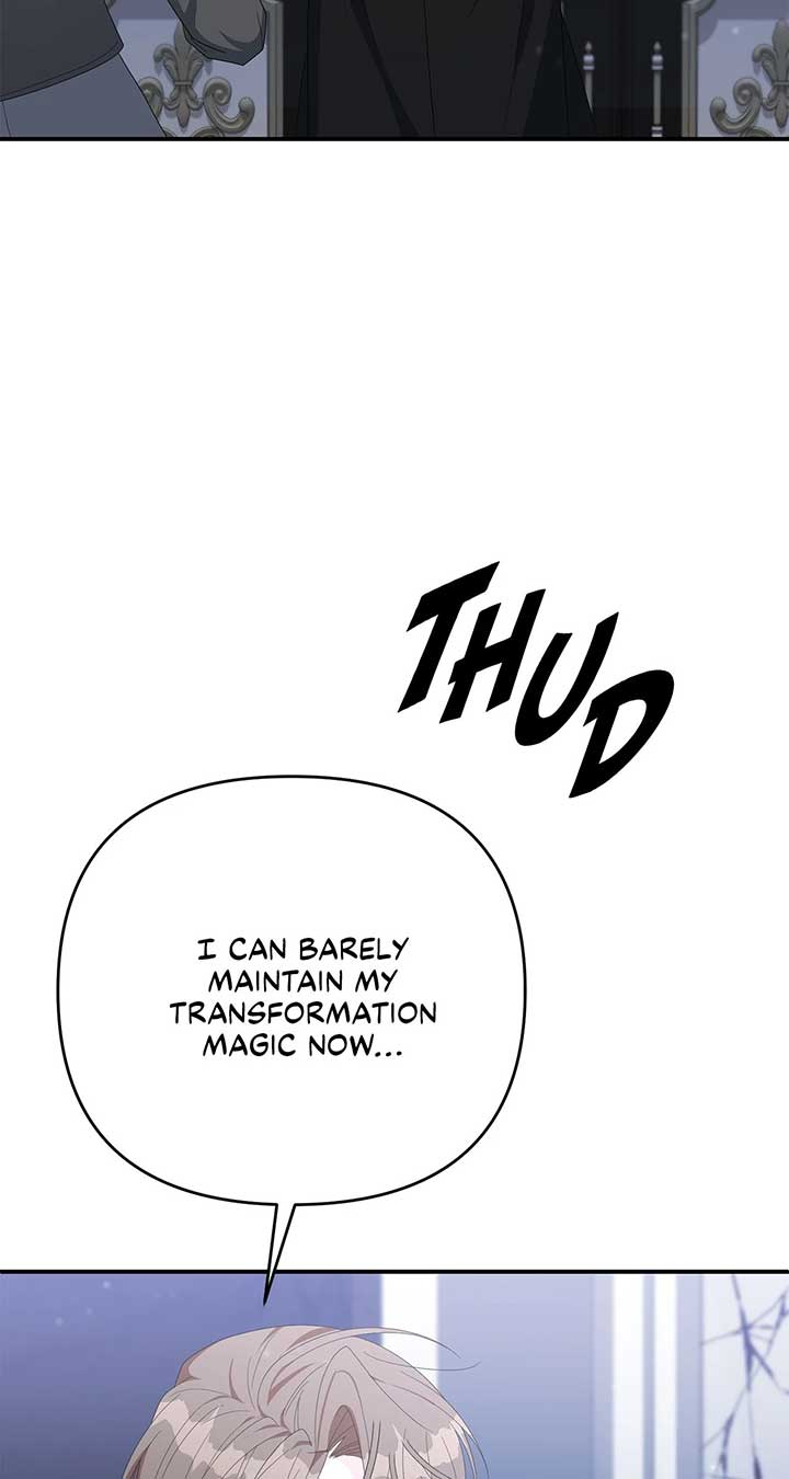 ch 58 32