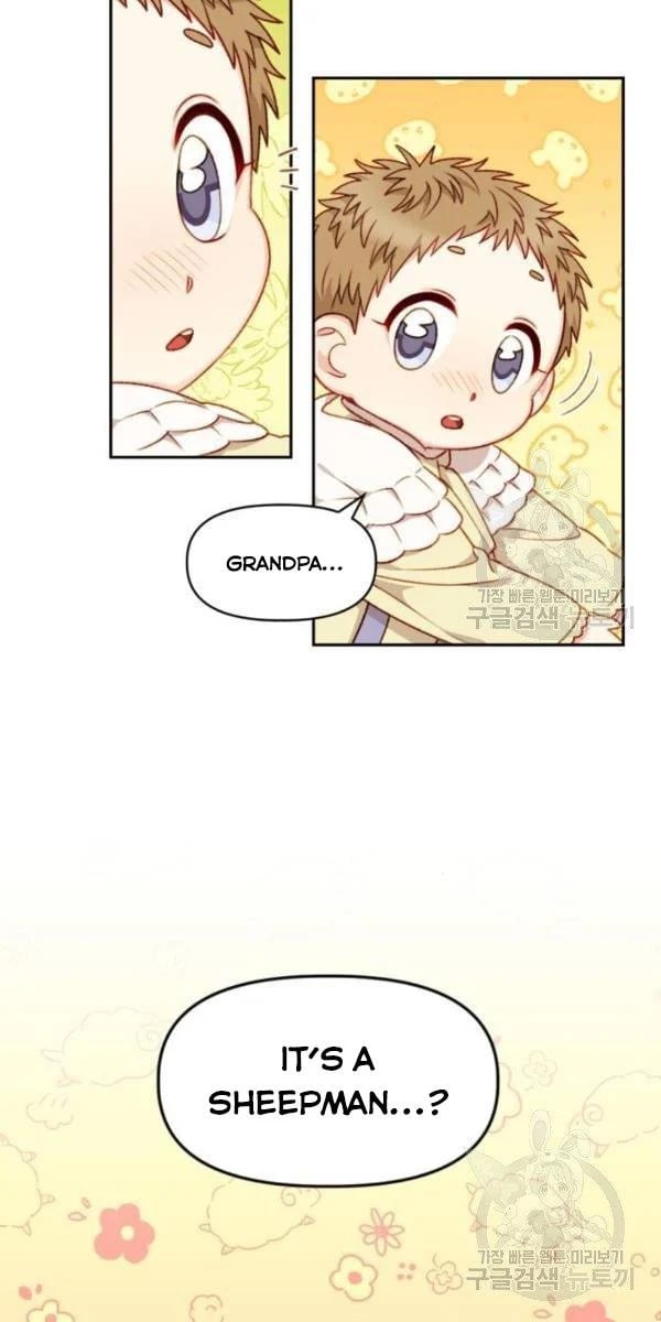 11 (1)
