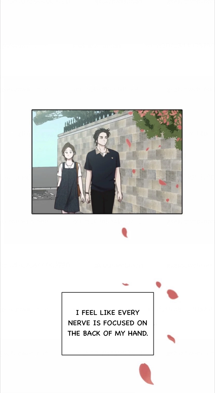 The Time When We Were Young Chapter 114 225 0fbcb6ef096e