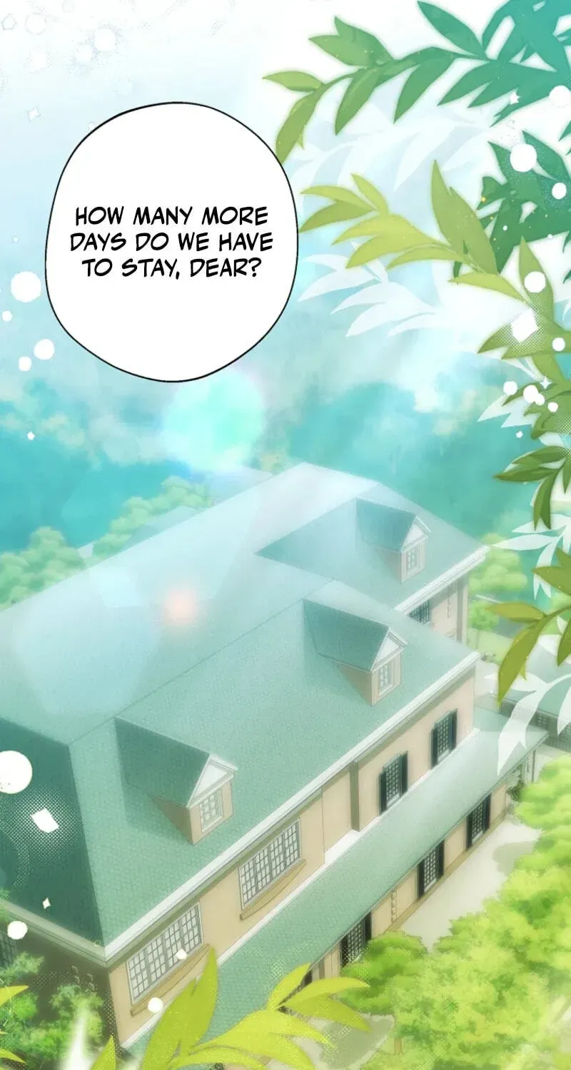 Why Are You Obsessed With Your Fake Wife? Chapter 105 491 94f8e14f4d91