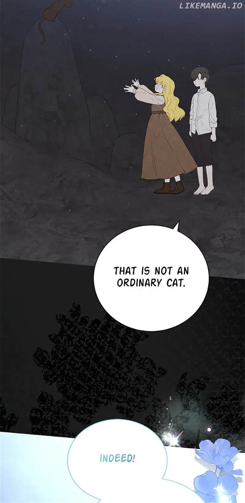 Why Are You Obsessed With Your Fake Wife? Chapter 52 349 66