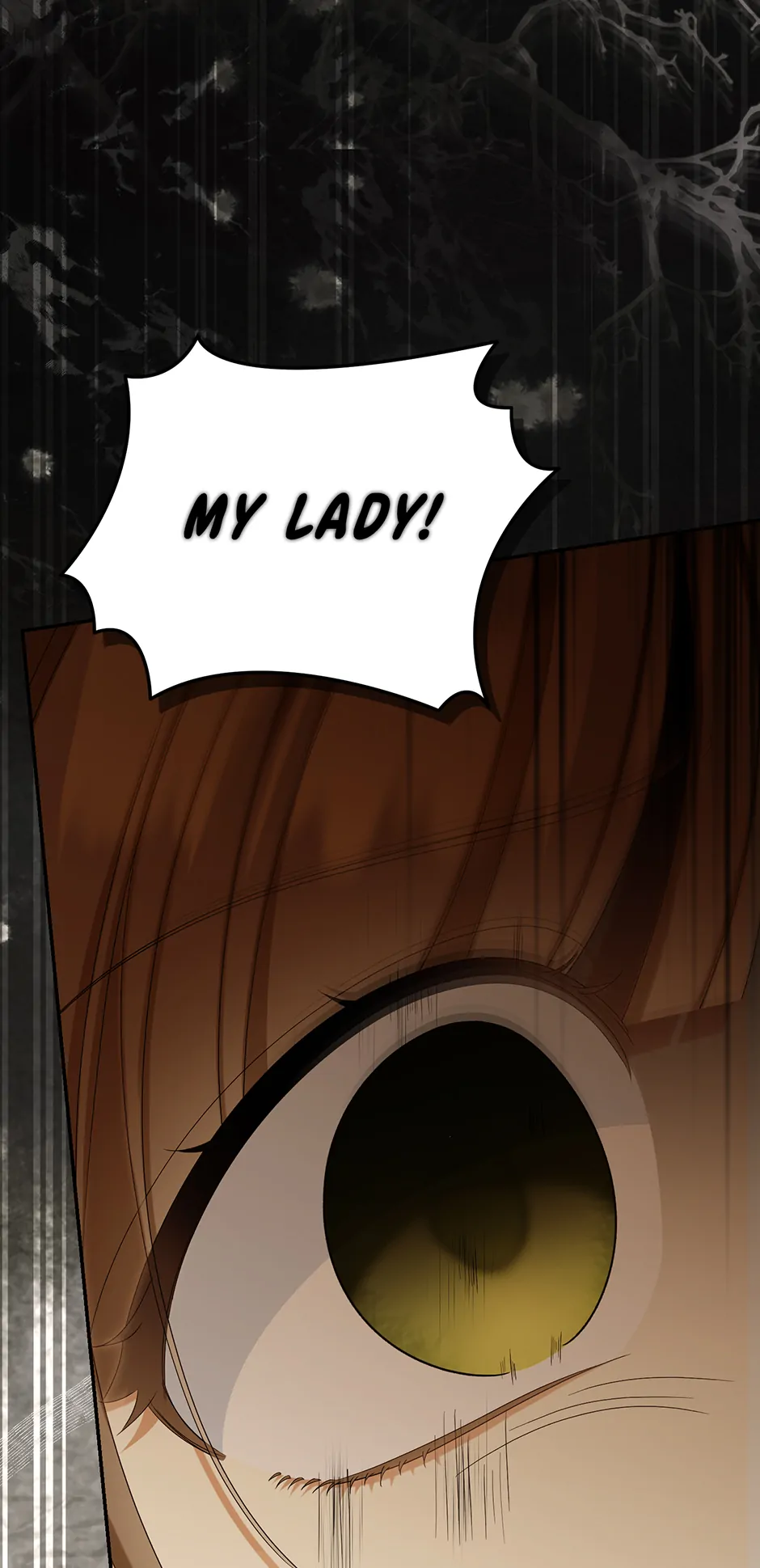 Why Are You Obsessed With Your Fake Wife? Chapter 72 388 ch 72 84