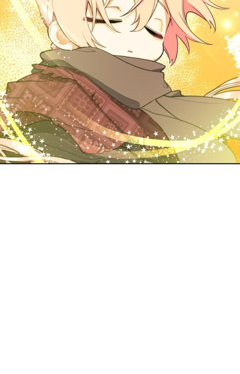 chap 23 26