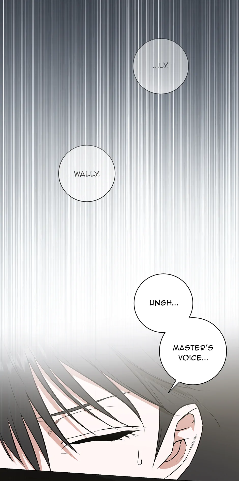 ch 41 66