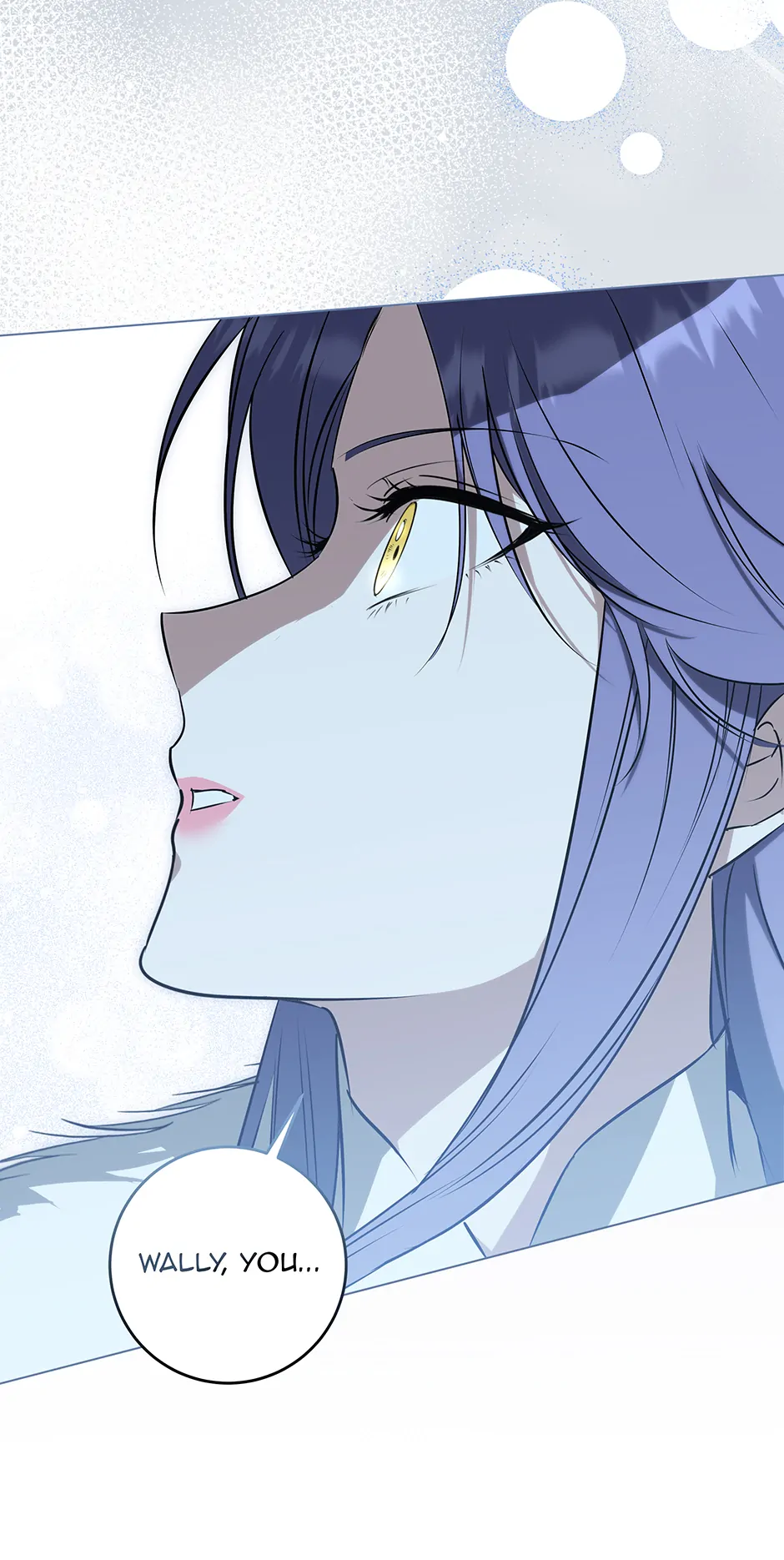 ch 52 48