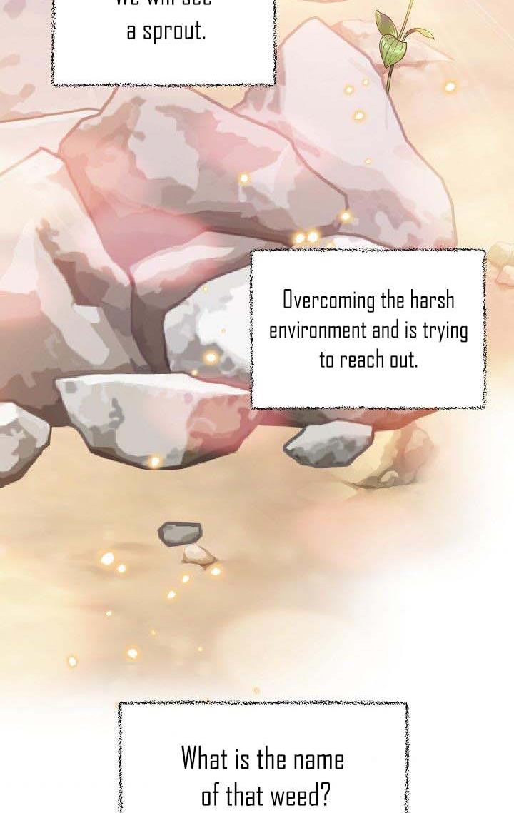 The Elegant Sea of Savagery Chapter 38 361 87