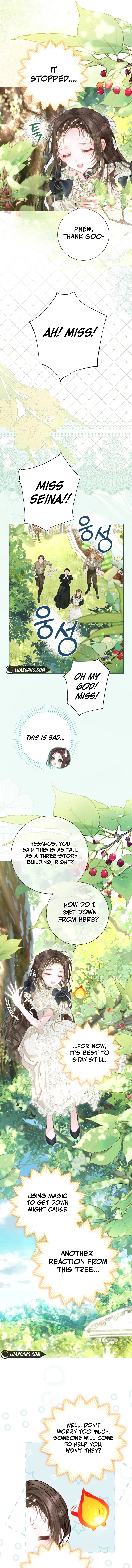 The World Without My Sister Who Everyone Loved Chapter 58 62 9