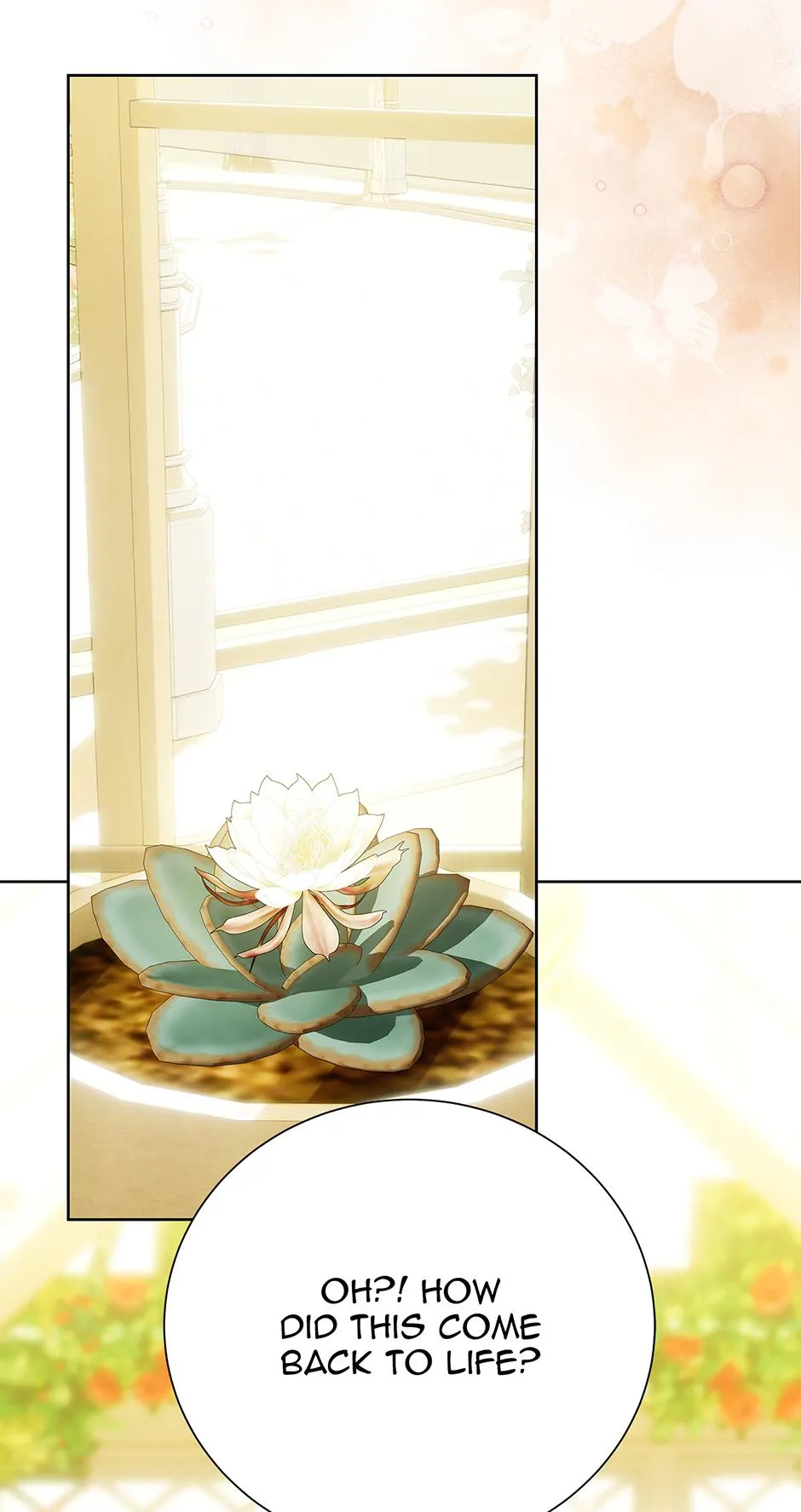 fe6ac5bd5f49