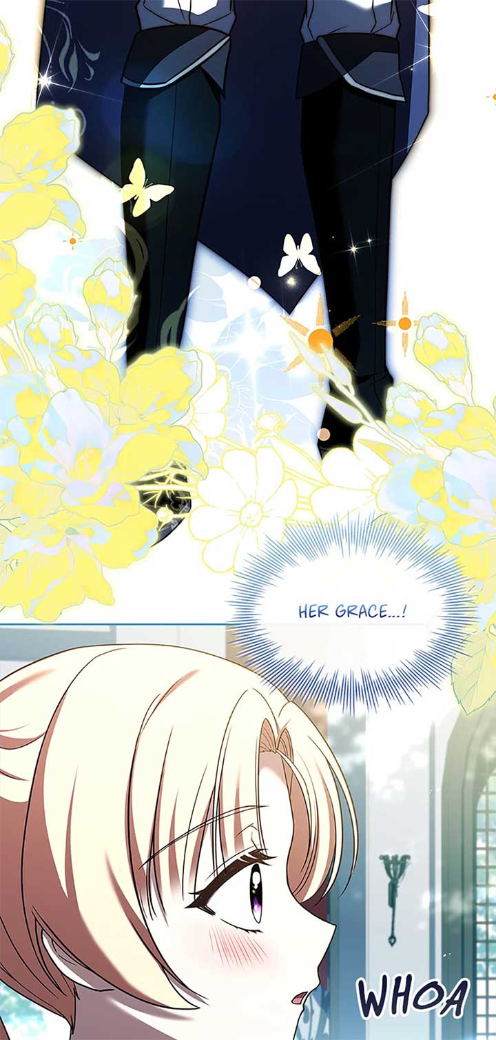 ch 66 19