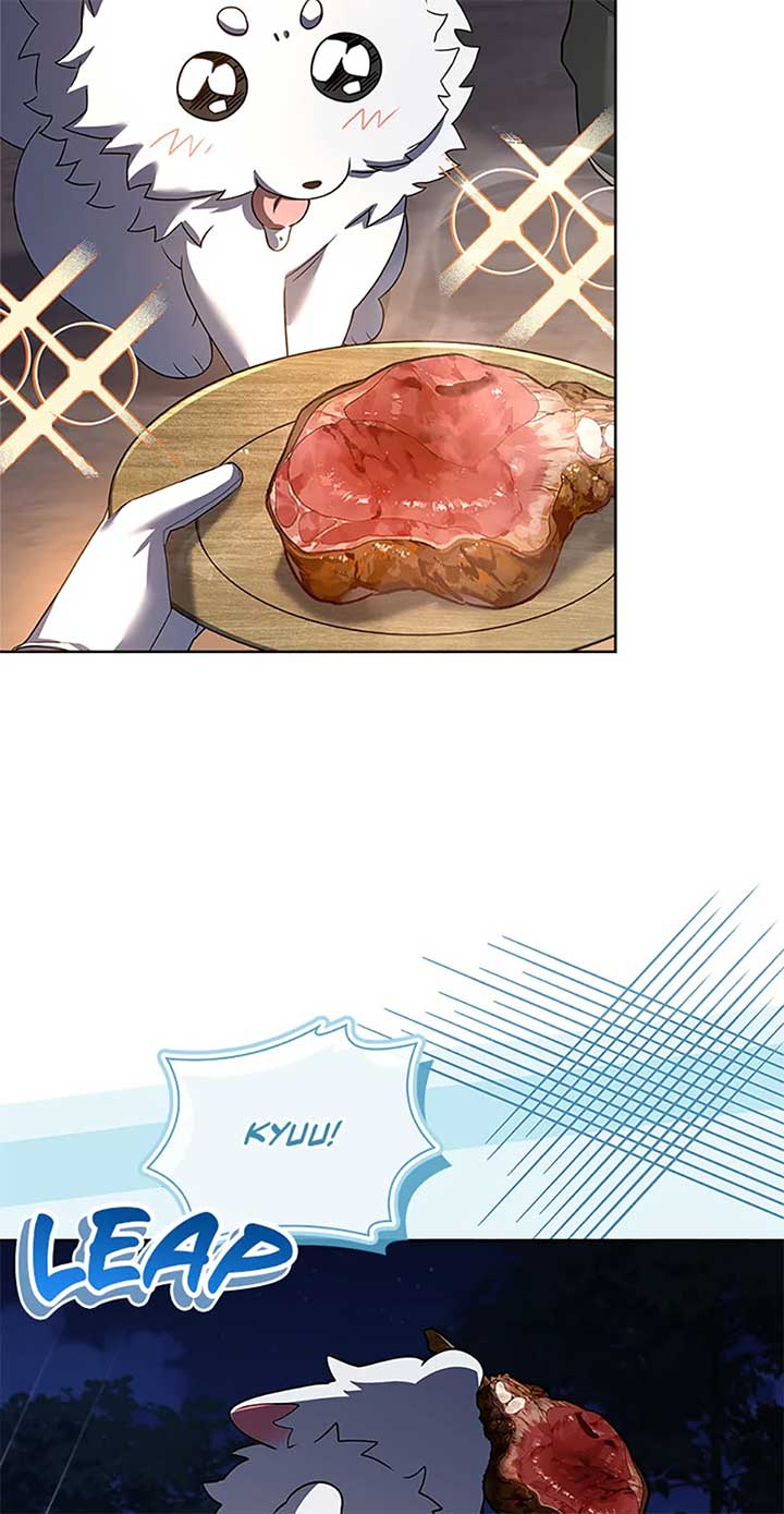 ch 68 20