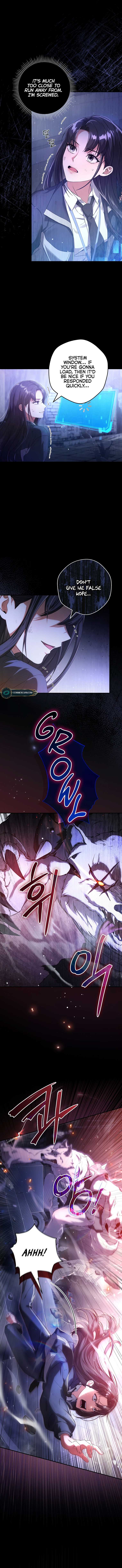 The Civil Servant Hunter’s S-Class Resignation Log Chapter 2 47 09