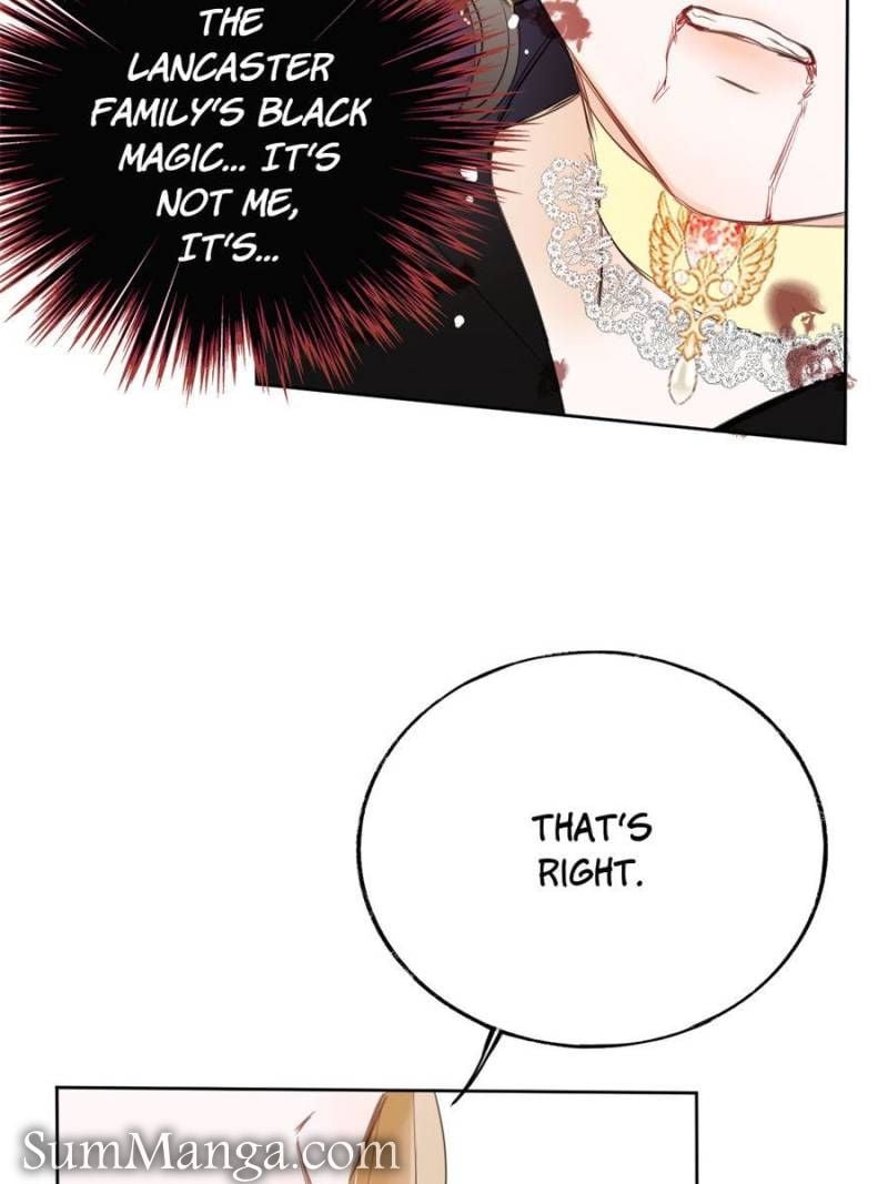 The Corrupted Witch Has No Choice But to Become a Villain Chapter 2 228 47