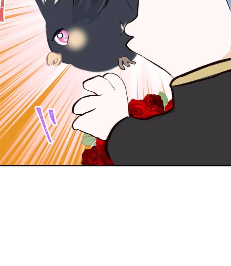 ch 73 11
