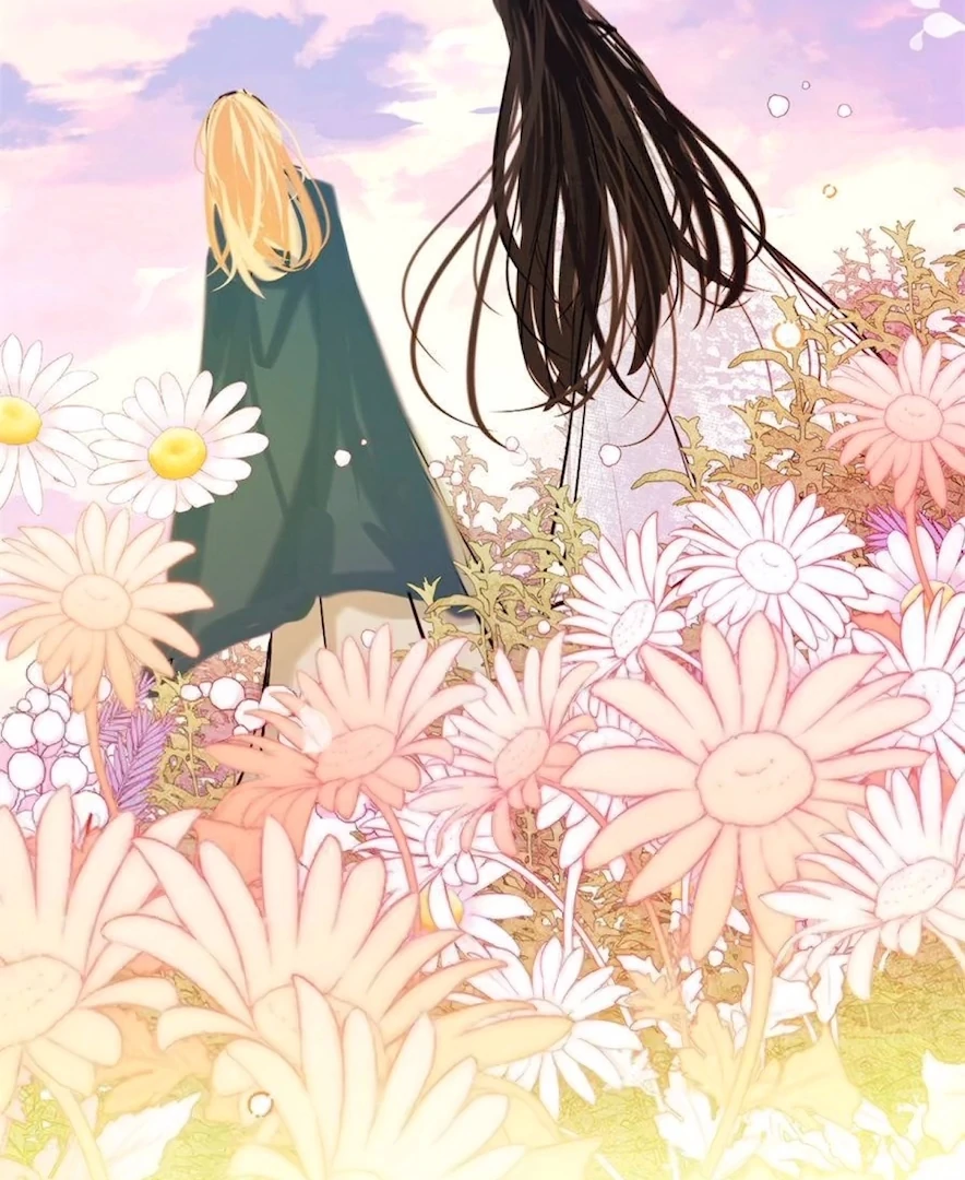 ch 80 36