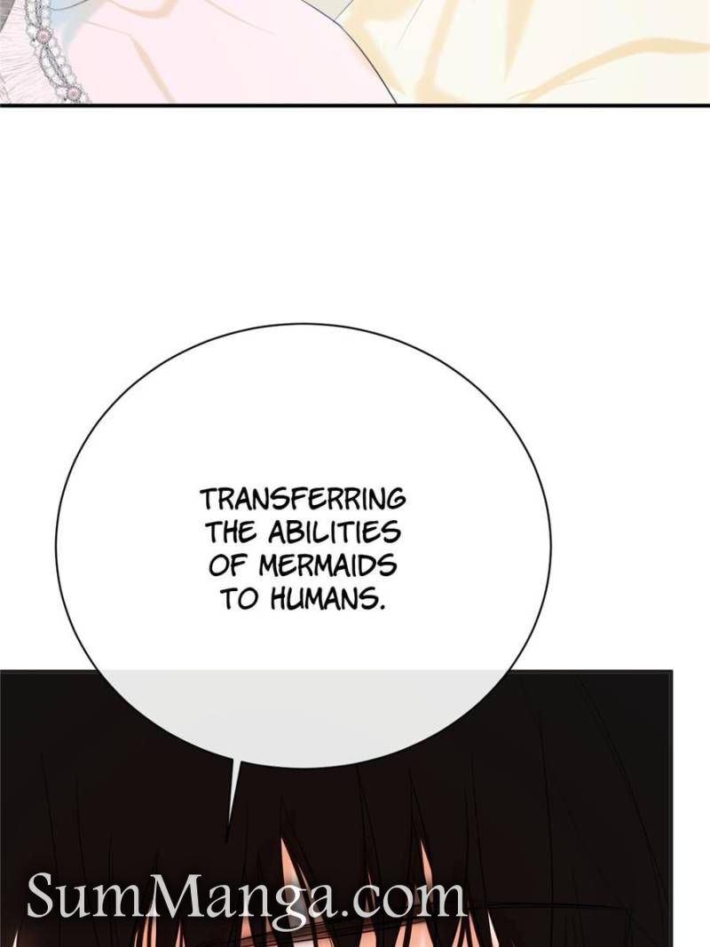 ch 95 15