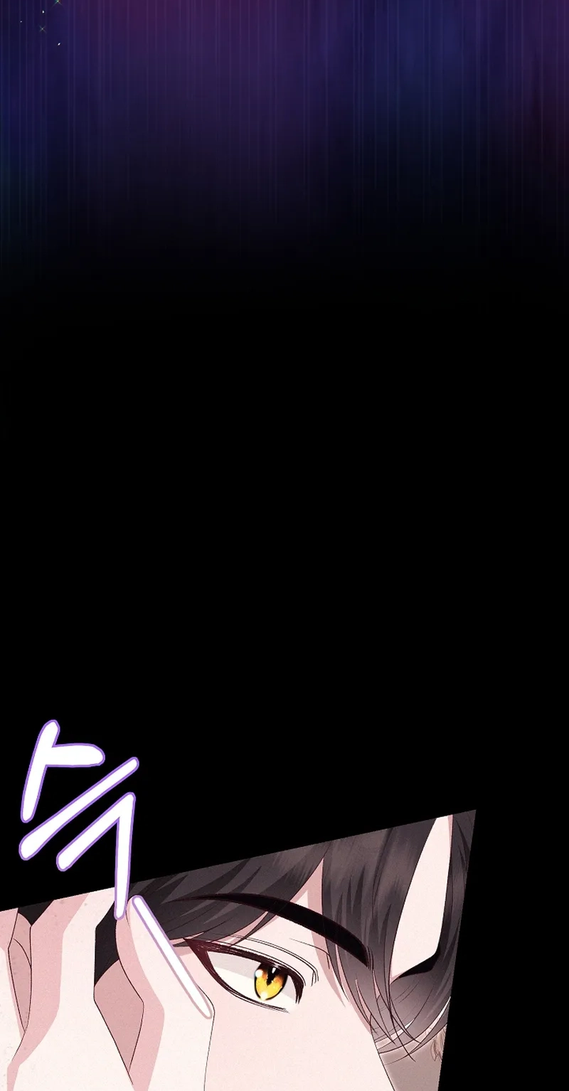 eb8c6477d53d