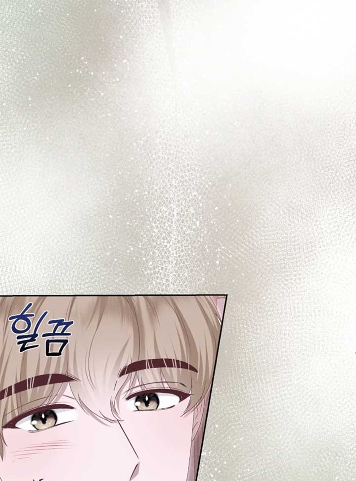 When Cinderella’s Magic Fades Away Chapter 71 460 027