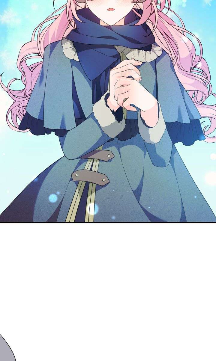 ch 65 81