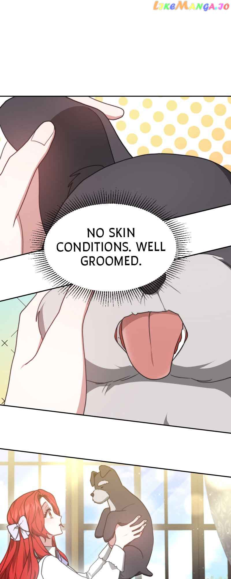 41