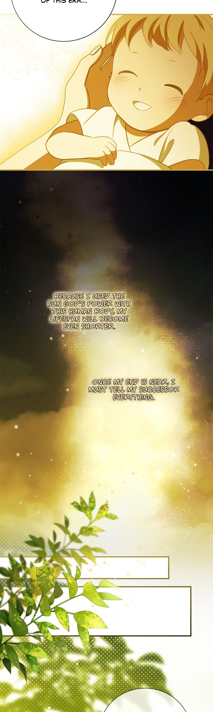 ch 95 17