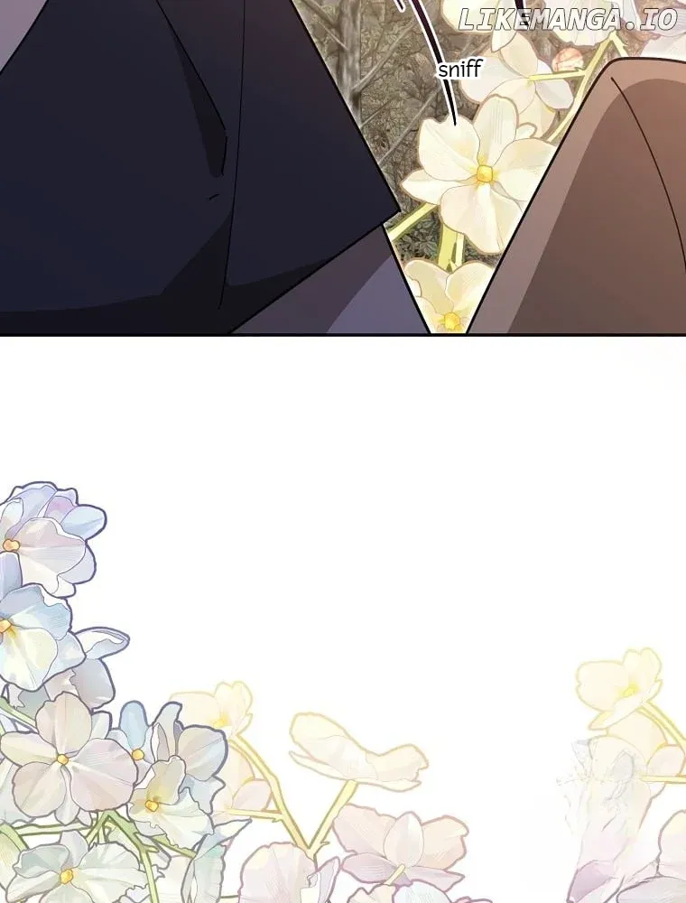 ch 141 31