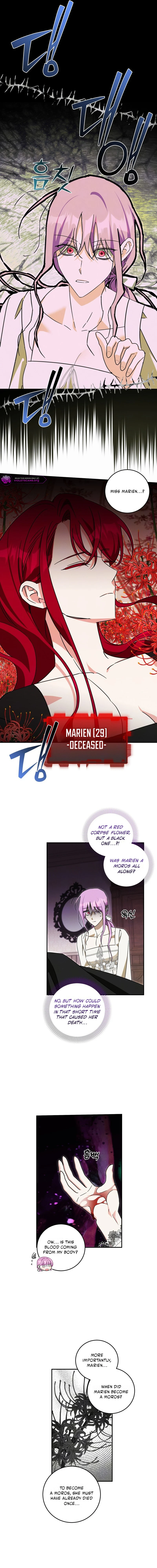 How to Protect the Master of the Monster Mansion Chapter 73 54 08