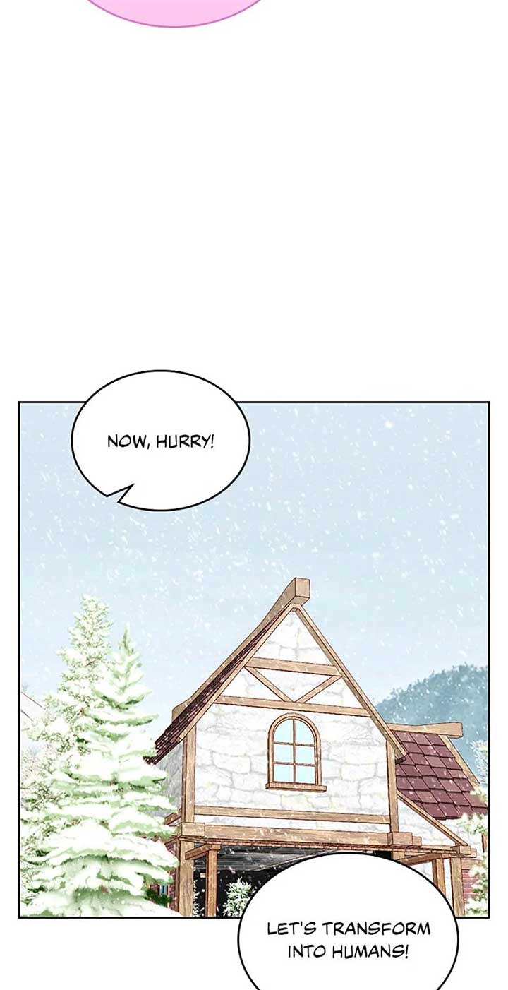 ch 113 39