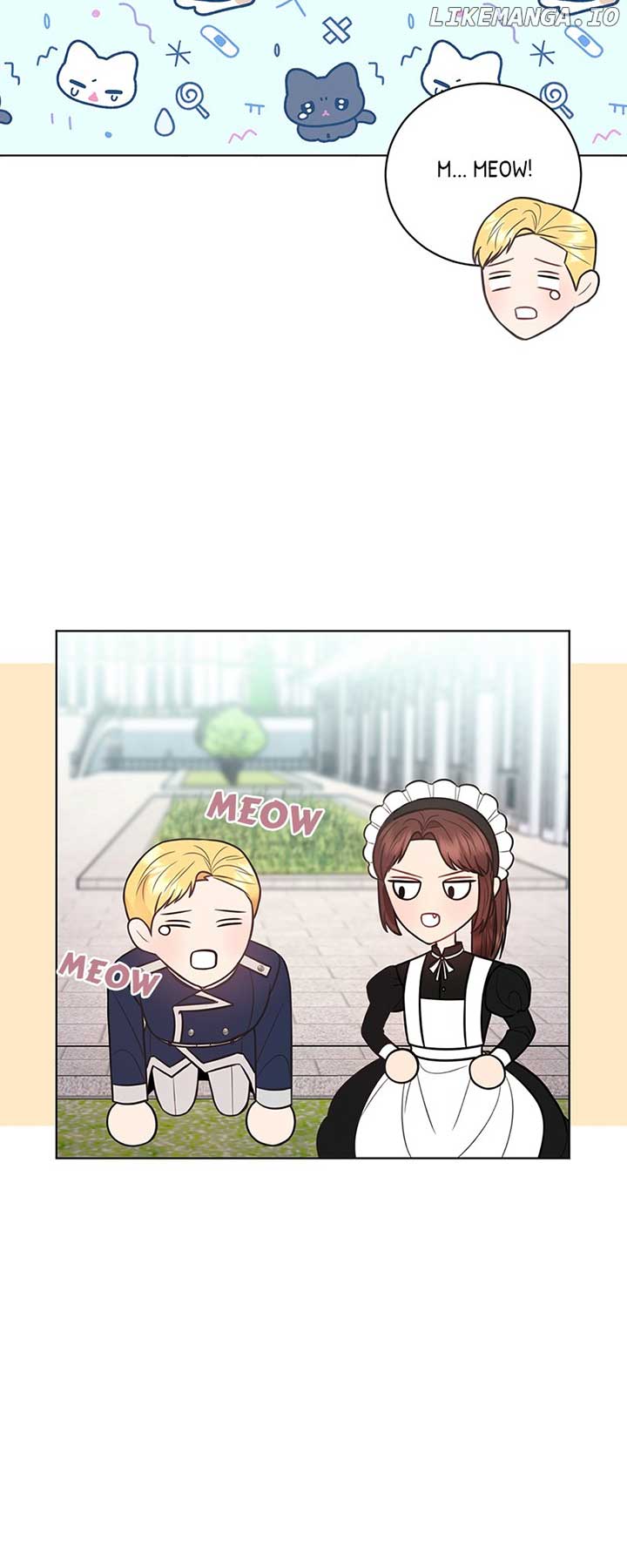 ch 52 18