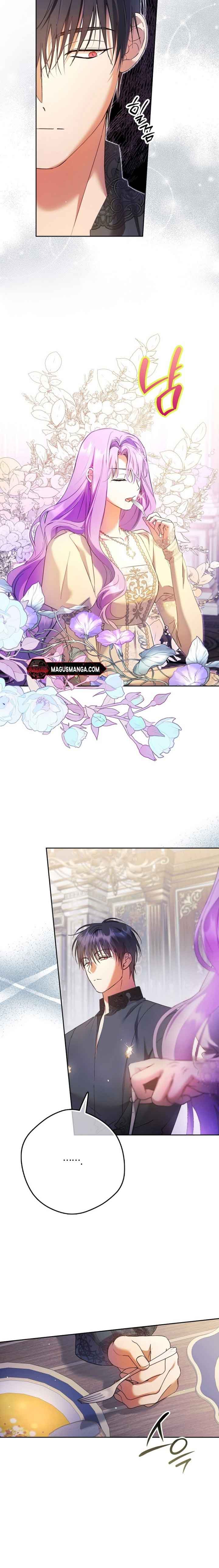 The Male Leads Were Stolen by the Extra Chapter 19 80 14