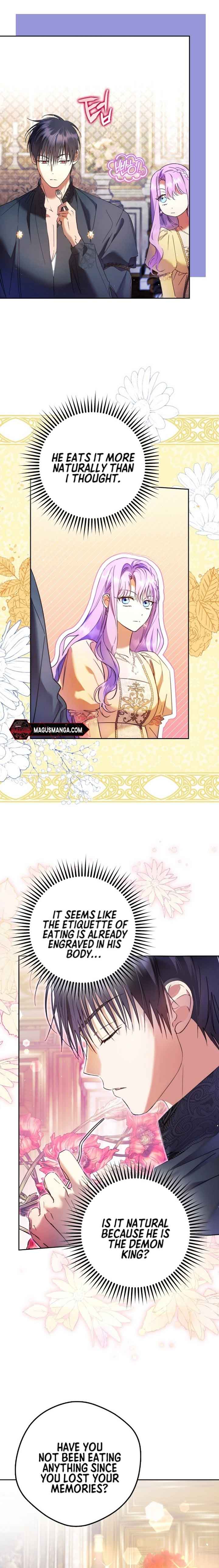 The Male Leads Were Stolen by the Extra Chapter 19 81 15