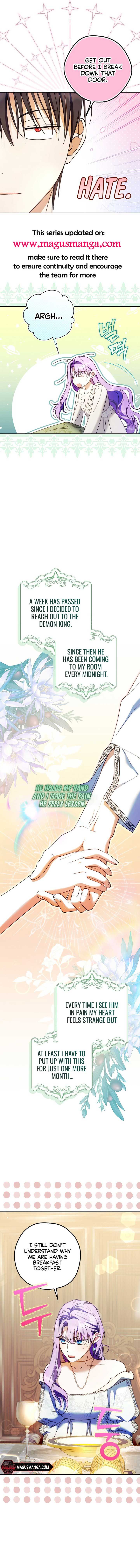 The Male Leads Were Stolen by the Extra Chapter 21 48 1