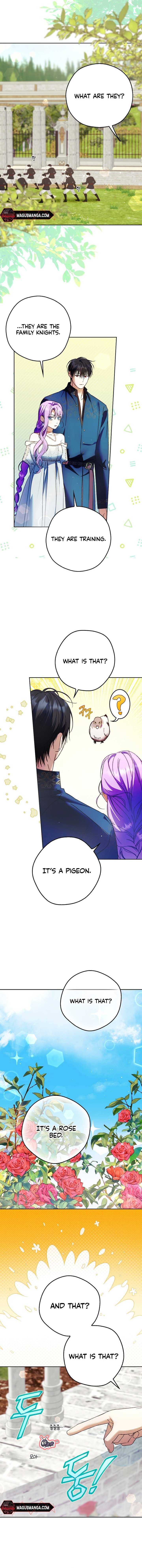 The Male Leads Were Stolen by the Extra Chapter 21 51 4