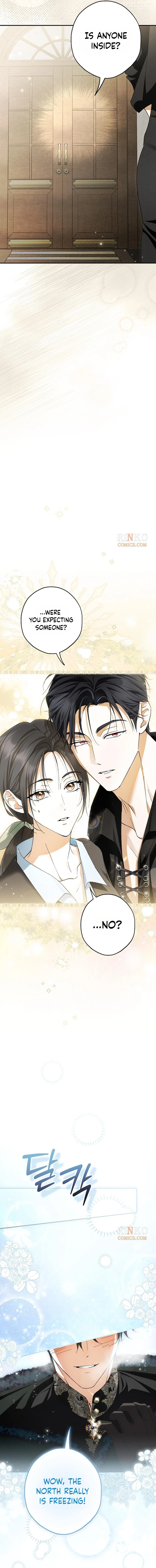 The Male Leads Were Stolen by the Extra Chapter 94 80 14 webp