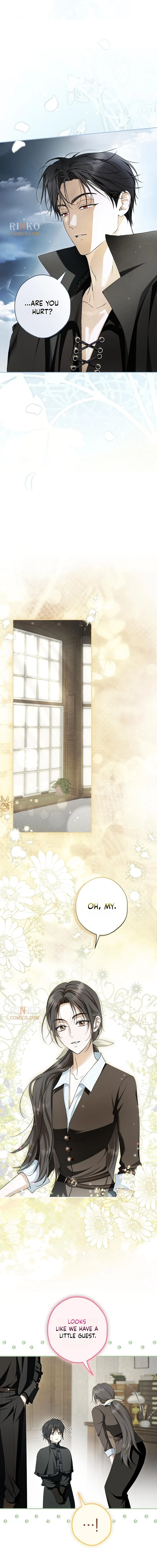 The Male Leads Were Stolen by the Extra Chapter 94 71 5 webp