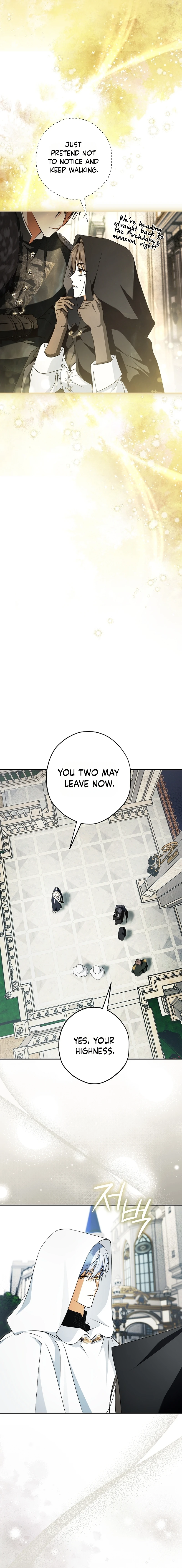 The Male Leads Were Stolen by the Extra Chapter 97 78 10