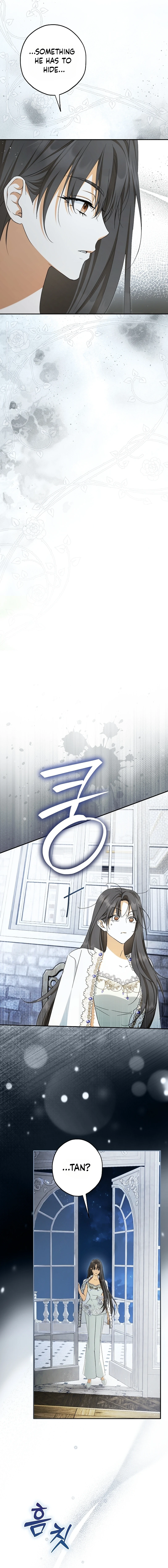 The Male Leads Were Stolen by the Extra Chapter 97 85 17