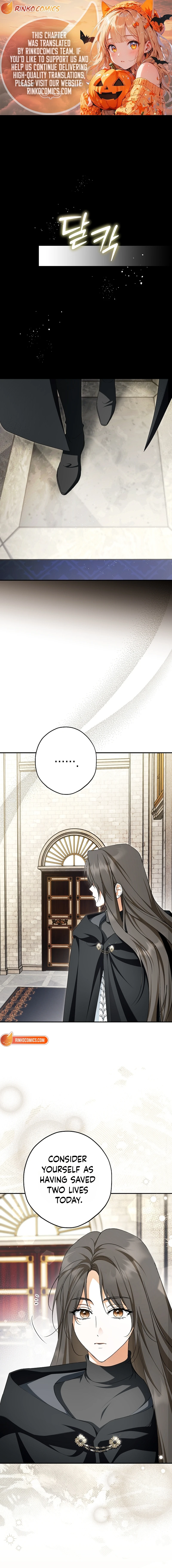 The Male Leads Were Stolen by the Extra Chapter 97 71 3