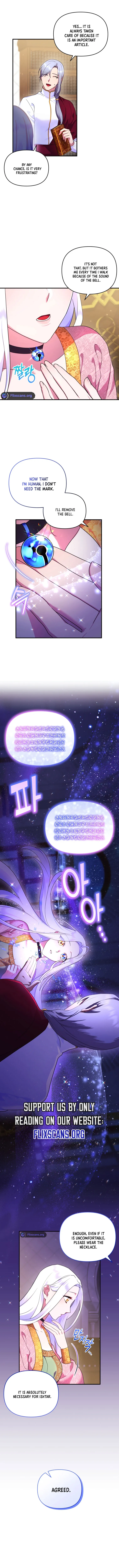 I Became the Sultan’s Precious Cat Chapter 17 48 0 2