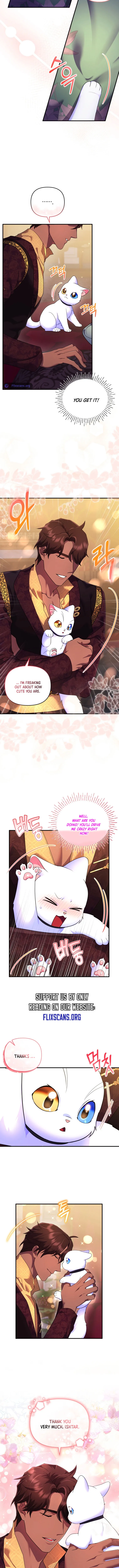 I Became the Sultan’s Precious Cat Chapter 17 57 10