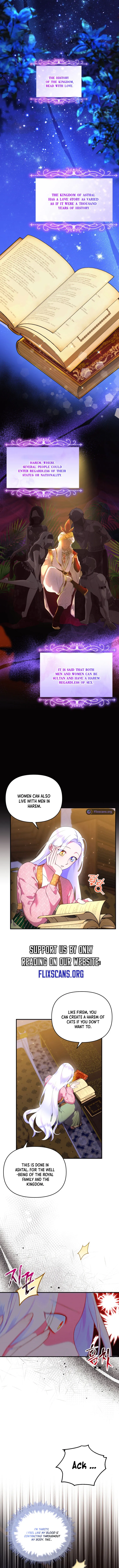 I Became the Sultan’s Precious Cat Chapter 17 51 3